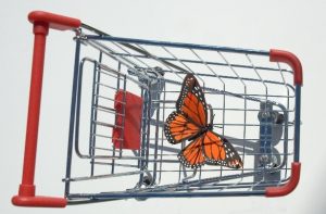 Job search before you take the day off